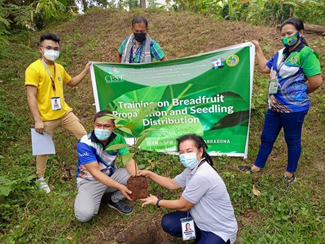 DOST XI promotes breadfruit as ideal emergency food source image