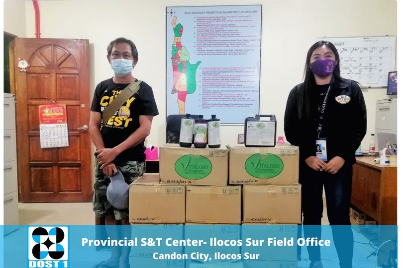 DOST-I provides Candon farmers with carrageenan plant growth promoter to increase crop yield image