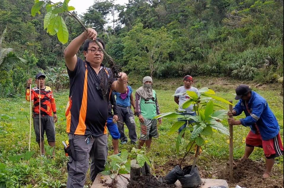 New cacao farming technique turns an all-year round harvest image