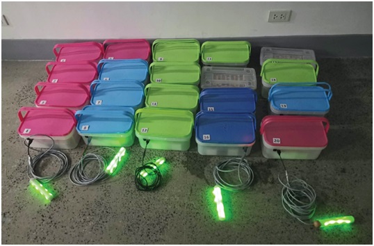 TIP’s pollution-powered battery lights up the way for a cleaner lake image