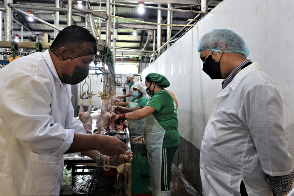 Level up with SETUP: DOST spurs new opportunities for DavSur MSMEs image
