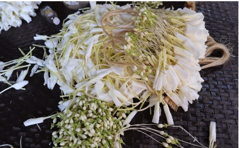 DOST-I awards Carrageenan Plant Growth Promoter to Sampaguita Farmers Association image
